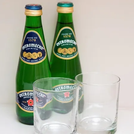 Appartement Wolska With Parking By Renters *